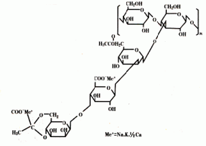 Gomme de xanthane